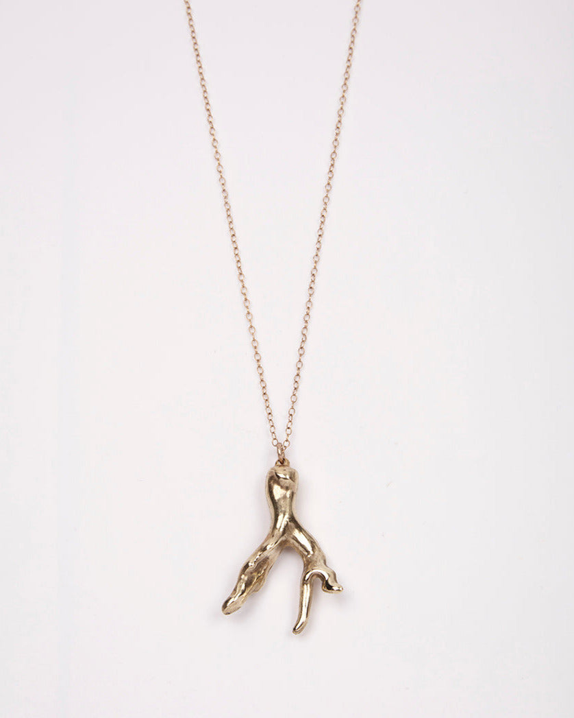 COLLIER CORAIL
