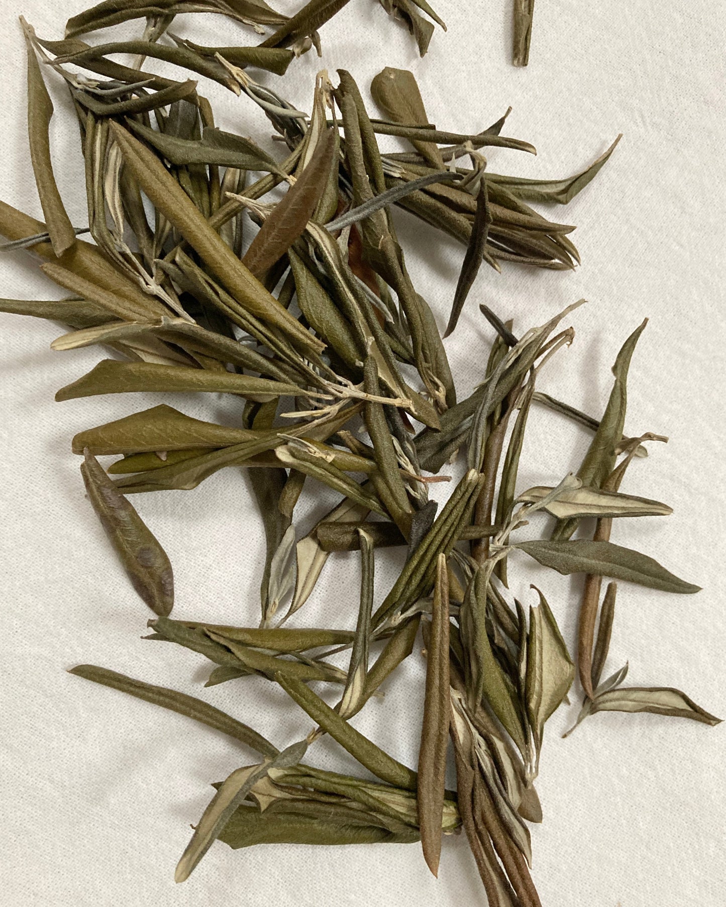 SACHET DE FEUILLES D'OLIVIER 545 Alt