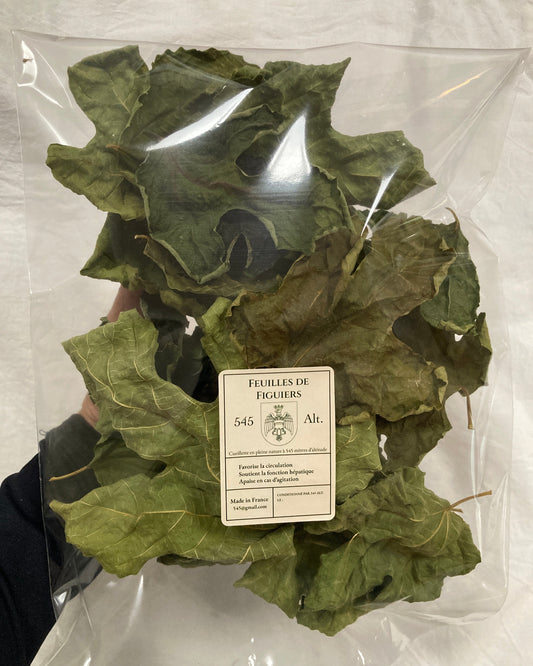 SAC DE FEUILLES DE FIGUIER 545 Alt