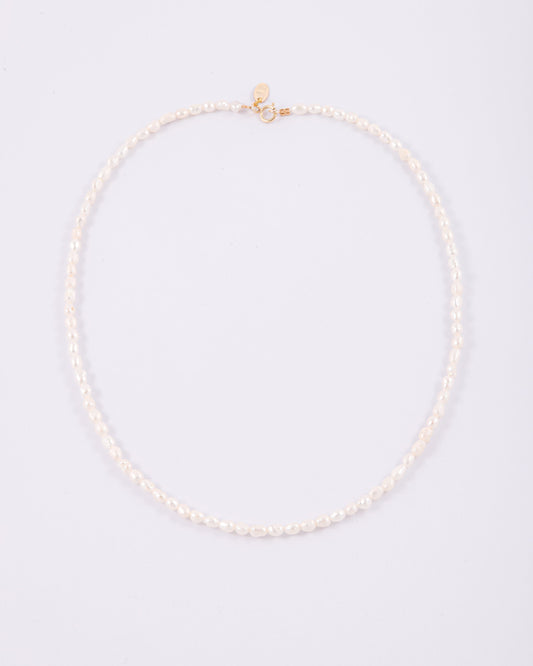 COLLIER CHARLESTON